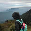 asd935640284的头像-小哥网