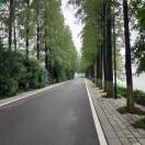 LmCjl在线工具，网站在线工具，在线工具