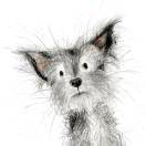 安逸的头像-博士钣金 - www.bsbanjin.com