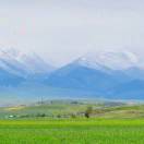 sg音乐设计师markson 的头像