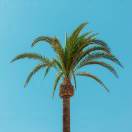 drtuiop的头像-易得函