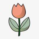 Sugar的头像-熵减岛