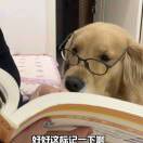 闫艺恬