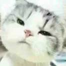 徐先生的头像