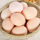 舍得？刘东力18133026519