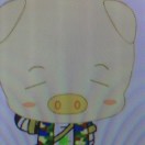 张先生的头像