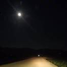 大武定三好青年