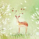 山霖玉泠