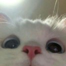 开心每一天