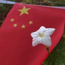 无问西东