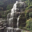 张先生的头像