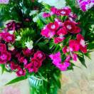 —朶、向曰葵 。