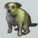 Sichen的头像 - 校园论坛