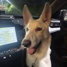 Cx330-长游分享网