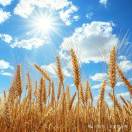 用户33688749的头像 