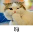 江先生的头像