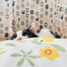 我不要再长胖了