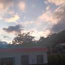 wx_ckq42