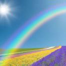 潘彩虹-益生元（肠道健康、免疫）