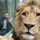 晴时不见荷的头像-长游分享网