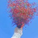 做个淡淡的女子～