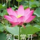 wx_老太太77