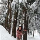 杨先生的头像