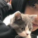 用户27395801的头像-博士钣金 - www.bsbanjin.com