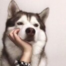 卯熙廿辰