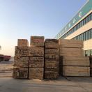 A闽港木业18079292666