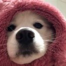 圆梦