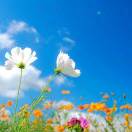 今天是个好日子