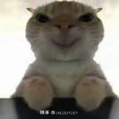 wx_鼠鼠80