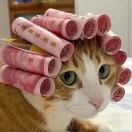 啦啦啦啦啦啦哩哩的头像-梦马考研