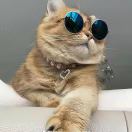 王先生的头像