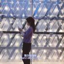 西红柿炖番茄