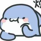 宗骏的头像