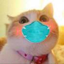 傲娇小仙女的钢琴谱