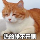 皮皮