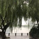 董事長(zhǎng)