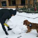 子非鱼_安知鱼之乐？