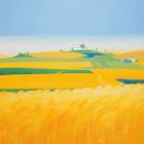 乔土木的头像-秀琴曲谱网