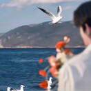 兰陵笑笑生的头像-博士钣金 - www.bsbanjin.com