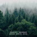 用户头像: