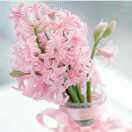 木木花开的钢琴谱