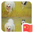 Jimmy-085842541