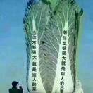 ꧁༺仝༒博༻꧂