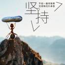方先生的头像