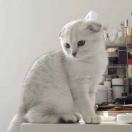 一抹无邪的头像-风行者社区