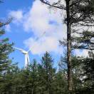 心泪的头像-战友联盟